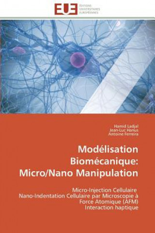 Mod lisation Biom canique