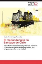mapundungun en Santiago de Chile