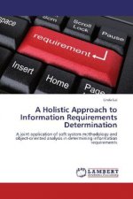 A Holistic Approach to Information Requirements Determination