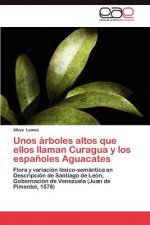 Unos Arboles Altos Que Ellos Llaman Curagua y Los Espanoles Aguacates