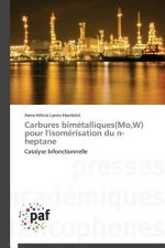 Carbures Bimetalliques(mo, W) Pour l'Isomerisation Du N-Heptane