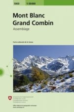 Landeskarte der Schweiz 5003 Mont Blanc - Grand Combin