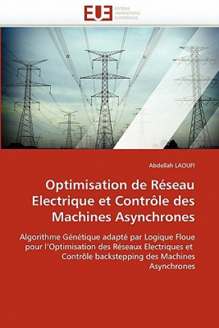 Optimisation de reseau electrique et controle des machines asynchrones