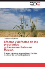 Efectos y defectos de los programas gubernamentales en Mexico