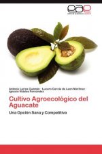 Cultivo Agroecologico del Aguacate