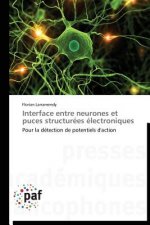 Interface Entre Neurones Et Puces Structurees Electroniques