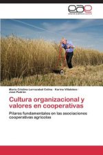 Cultura organizacional y valores en cooperativas
