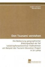 Den Tsunami verstehen