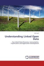 Understanding Linked Open Data