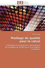 Maillage de Qualit  Pour Le Calcul