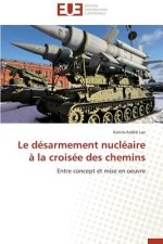 desarmement nucleaire a la croisee des chemins