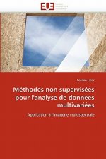 Methodes non supervisees pour l'analyse de donnees multivariees