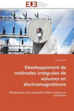 Developpement de methodes integrales de volumes en electromagnetisme