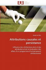 Attributions Causales Et Persistance