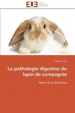 Pathologie Digestive Du Lapin de Compagnie