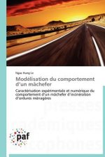 Modelisation Du Comportement D Un Machefer