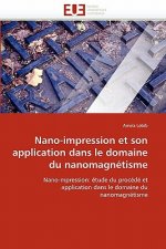 Nano-impression et son application dans le domaine du nanomagnetisme