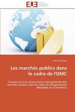 Les March s Publics Dans Le Cadre de l'Omc