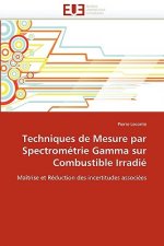 Techniques de Mesure Par Spectrom trie Gamma Sur Combustible Irradi