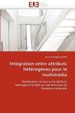 Int gration Entre Attributs H t rog nes Pour Le Multim dia