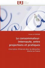Consommateur-Internaute, Entre Projections Et Pratiques