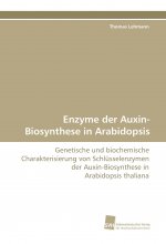 Enzyme der Auxin-Biosynthese in Arabidopsis