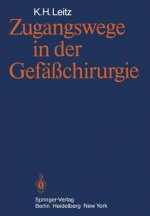 Zugangswege in Der Gefasschirurgie