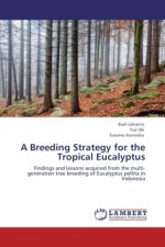 A Breeding Strategy for the Tropical Eucalyptus