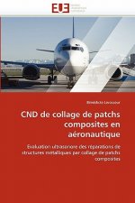 Cnd de Collage de Patchs Composites En A ronautique