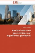 Analyse inverse en géotechnique par algorithmes génétiques