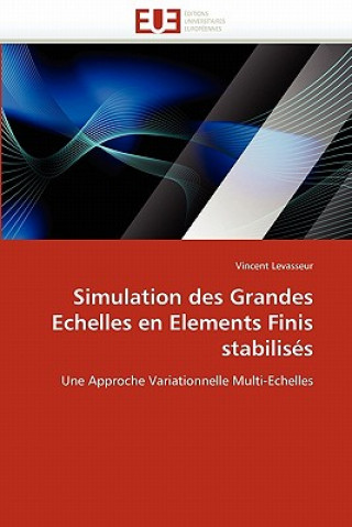 Simulation Des Grandes Echelles En Elements Finis Stabilis s