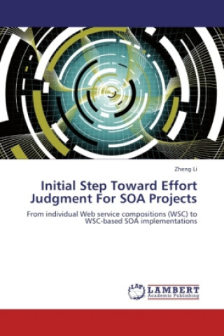 Initial Step Toward Effort Judgment For SOA Projects