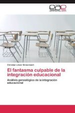 fantasma culpable de la integracion educacional