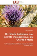de L  tude Botanique Aux Int r ts Th rapeutiques Du Chardon-Marie