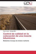 Control de Calidad En La Colocacion de Una Mezcla Bituminosa