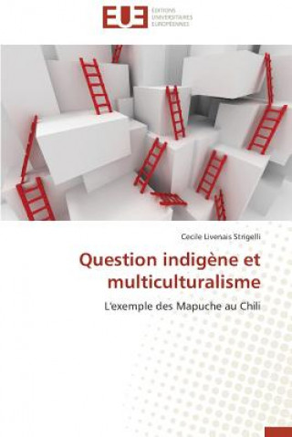 Question Indig ne Et Multiculturalisme