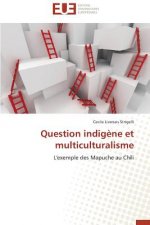 Question Indig ne Et Multiculturalisme