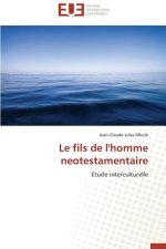 Le Fils de l'Homme Neotestamentaire