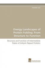 Energy Landscapes of Protein Folding