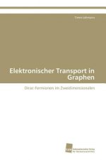 Elektronischer Transport in Graphen