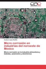 Micro corrosion en industrias del noroeste de Mexico