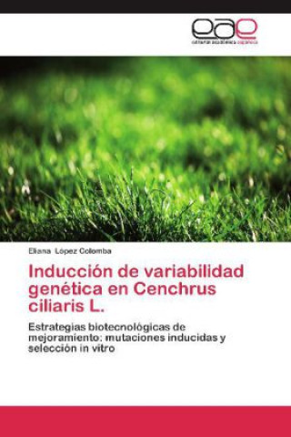 Inducción de variabilidad genética en Cenchrus ciliaris L.
