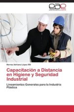 Capacitacion a Distancia en Higiene y Seguridad Industrial