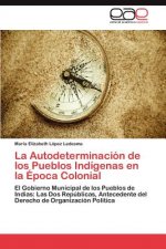 Autodeterminacion de los Pueblos Indigenas en la Epoca Colonial