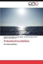 Fotoelectrocatalisis