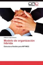 Modelo de organizacion hibrida