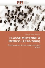 Classe Moyenne a Mexico (1970-2000)