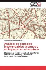 Analisis de espacios impermeables urbanos y su impacto en el acuifero