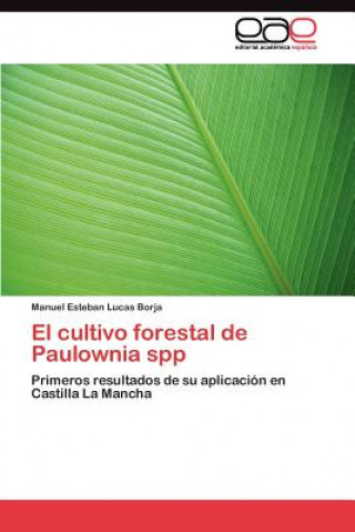 cultivo forestal de Paulownia spp