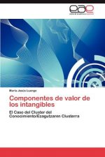 Componentes de valor de los intangibles